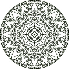 Beautiful flower art and mandala vector design
