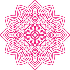 Beautiful flower art and mandala vector design