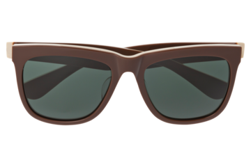 サングラス (sunglasses)	