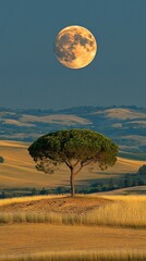 Lone tree under full moon in Tuscany, Italy at dusk.