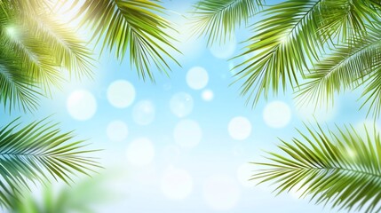Obraz premium Lush green palm leaves against a bright, bokeh-filled blue sky.