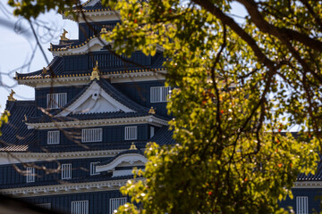 Autumn Leaves in Japan.	