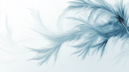 Obraz premium Abstract blue feather design, swirling, delicate, light background.