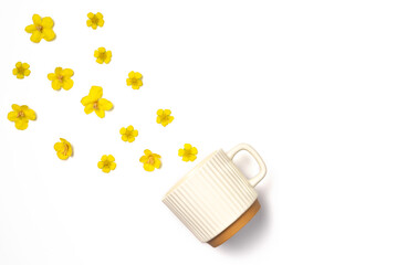 Flowers are pouring out of the mug on white background. Flat lay, top view.