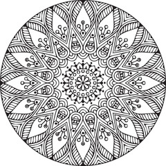 Beautiful flower art and mandala vector design