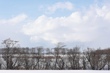 1月初頭の当別川河畔
