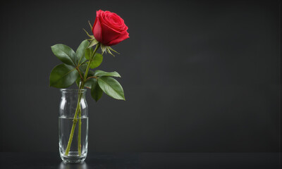 Obraz premium A single long-stemmed red rose placed in a sleek glass vase with a reflective surface, capturing the deep green of