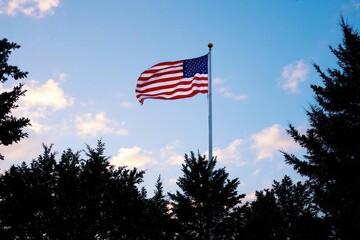 Low angle view of American flag by trees against sky