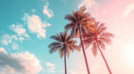 Fototapeta premium Minimal fashion style featuring palm trees against a stunning sky, showcasing the perfect blend of nature and contemporary trends. This minimal fashion style exudes elegance and simplicity.