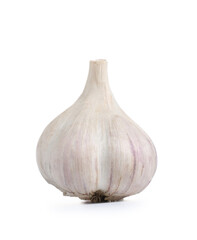 Fresh garlic on white background