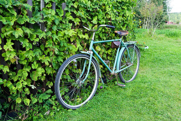 Fototapeta premium A vintage bike sits next to a green hedge. Photo
