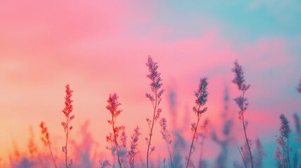 Obraz premium Delicate Wildflowers Against Dreamy Pastel Sky at Sunset