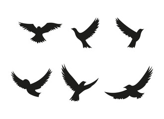 a set of six graphics of birds. minimalist silhouette vector graphic on white background.