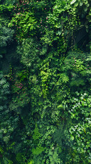 Mesmerizing View of Dense Jungle Canopy Bathed in Sunlight with Rich Biodiversity and Vibrant Colors