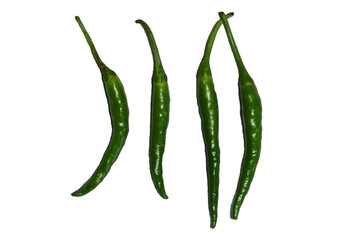 green chilli on white background