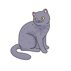 cat