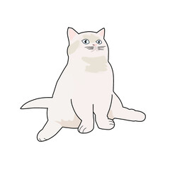 cat