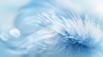 Obraz premium A close-up of delicate, icy blue feathers, creating a soft and ethereal atmosphere.