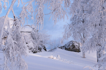Winter snow-covered trees in the Ural mountains