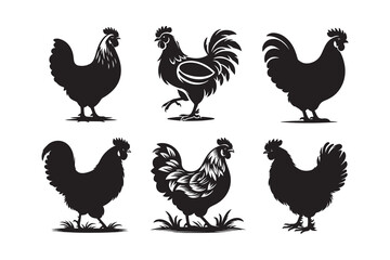 Hen Silhouette Vector isolated on a white background