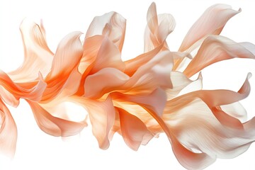 A high-definition macro of chrysanthemum petals curling delicately, set against a pure white backdrop.