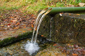 矢ノ原湿原の湧水