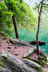 Voyage printemps Autriche for&ecirc;t lac chalets en bois