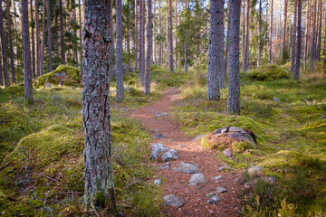 Lasse-maja grottan cave in Sweden