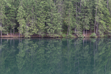 Voyage printemps Autriche forêt lac chalets en bois