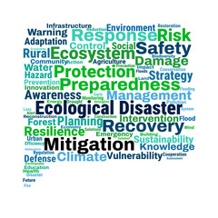 Ecological Disaster Mitigation Word Cloud
