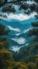 Fototapeta premium View from high in the mountains with trees framing the picture.