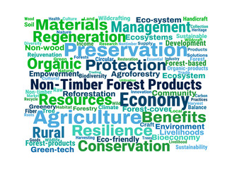 Non-Timber Forest Products Word Cloud
