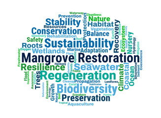 Mangrove Restoration Word Cloud