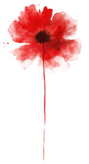Watercolor brush strokes of poppy flower