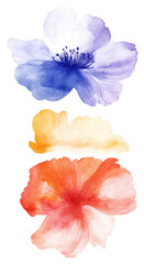 Watercolor brush strokes of flowers