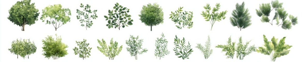 Collection of watercolor green foliage, shrubs, and trees.