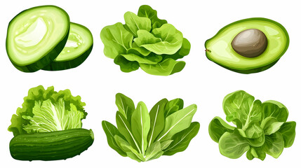 Obraz premium Fresh green vegetables illustration, avocado, lettuce, cucumber, isolated on white