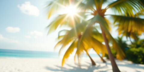 Obraz premium A Blurry View of Palm Trees on a Beach with Sun Shining Through the Foliage