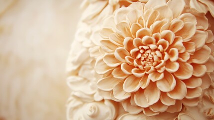 Delicate Peach Flower Close Up Detailed Image