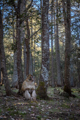 Voyage dans la m&eacute;dina de Fes au Maroc