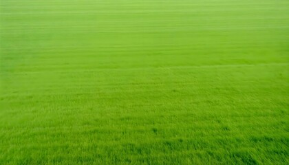 Obraz premium a large field of green grass with a sky background