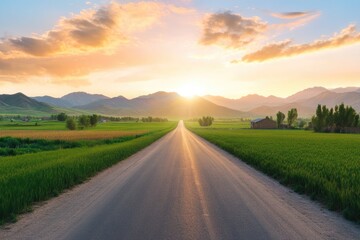 Fototapeta premium Straight country road and green farmland natural scenery at sunrise in Xinjiang China.
