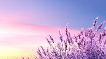 Fototapeta premium Smooth Lavender Wallpaper with Soft Plains and Clean Aesthetic