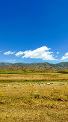 Landscape of mountains, field and sky.