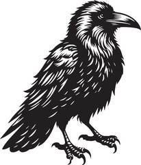 Raven Silhouette line art vector illustration on white background