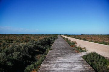 Fototapeta premium Long wooden boardwalk leading through a tranquil marshland towards the distant ocean under a vibrant blue sky