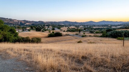 Obraz premium A serene sunset over rolling hills covered in wild grass, evoking tranquility and natural beauty.