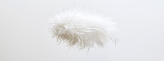 Obraz premium Soft White Feather on White Background Light and Airy Fluffy Texture Elegant Design Element