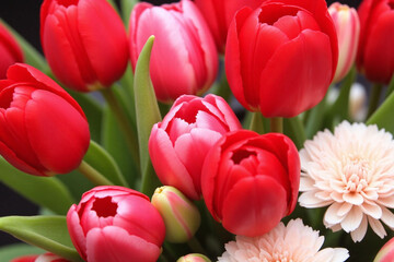 Obraz premium Lush bouquet of tulips and carnations in red and white