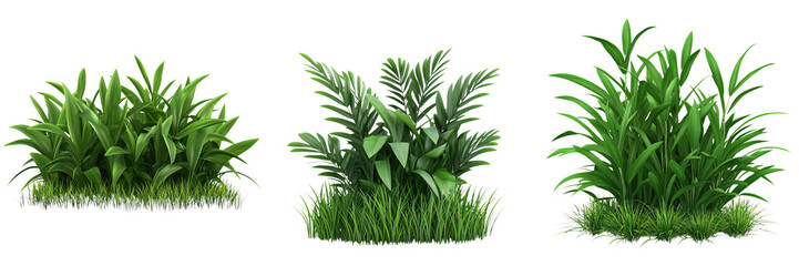 Fototapeta premium Lush green plants with vibrant foliage and grass, perfect for woodland scenes
